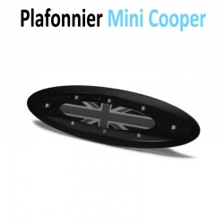 Module plafonnier LED pour Mini