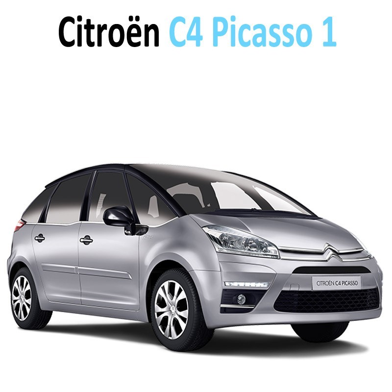 Pack Leds plaque d'immatriculation pour Citroen C4