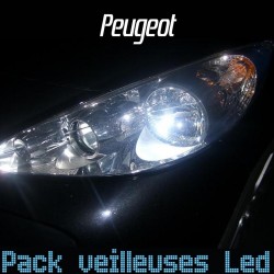 Pack d'ampoules LED plaque d'immatriculation pour PEUGEOT 306 (7B, N3, N5)