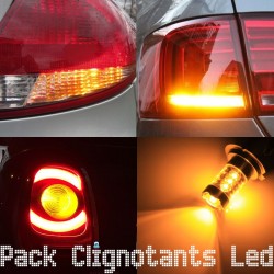 Pack clignotants arrière led pour Mini Cooper