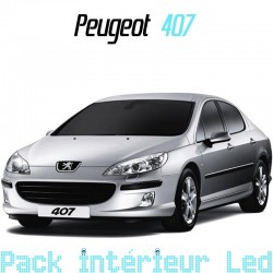Pack intérieur led pour Peugeot 407