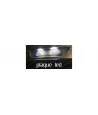 Ampoules de plaque led - Modules de plaque led