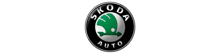 Pack Led Skoda