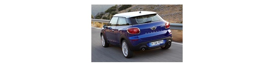 Mini Paceman