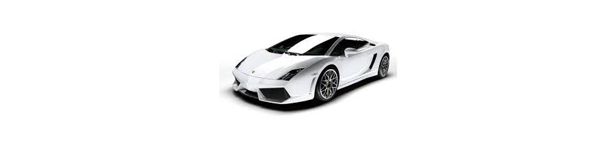 Gallardo