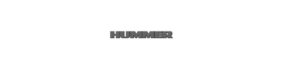 Pack Led Hummer