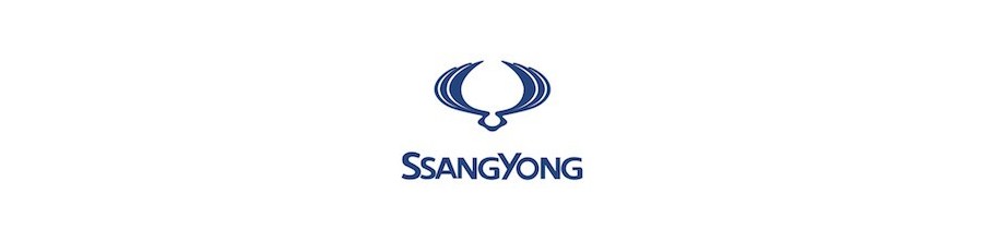 Pack Led Ssangyong