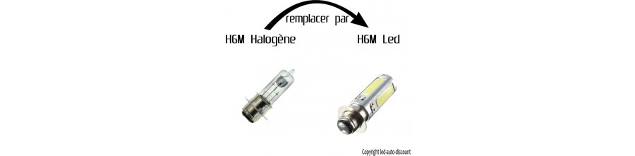 H6M - P15D - B20D led